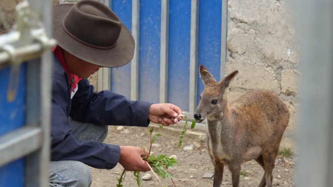 1760923291750.png 1760923291750.png